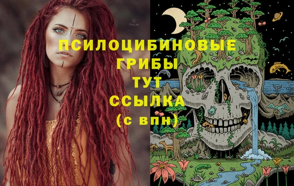 ГАЛЛЮЦИНОГЕННЫЕ ГРИБЫ Бронницы