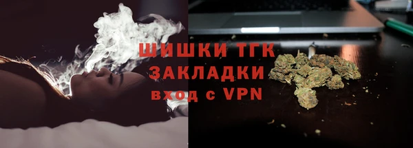 ГАЛЛЮЦИНОГЕННЫЕ ГРИБЫ Бронницы