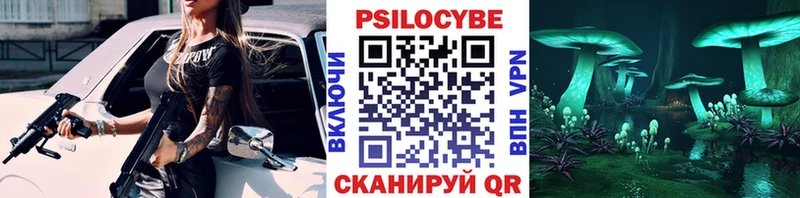 Купить Оха Псилоцибиновые грибы Psilocybe